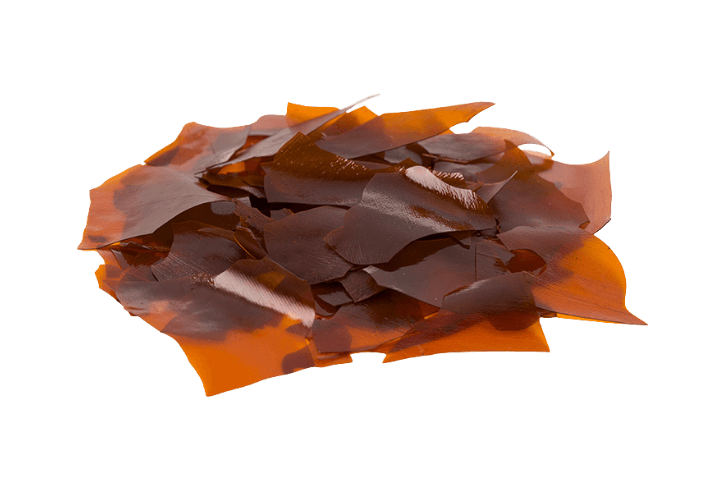 MachineMade - Lemon #1 Shellac